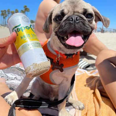 Pug approved
📸: @chillinwitchester, @thedetroitdognanny