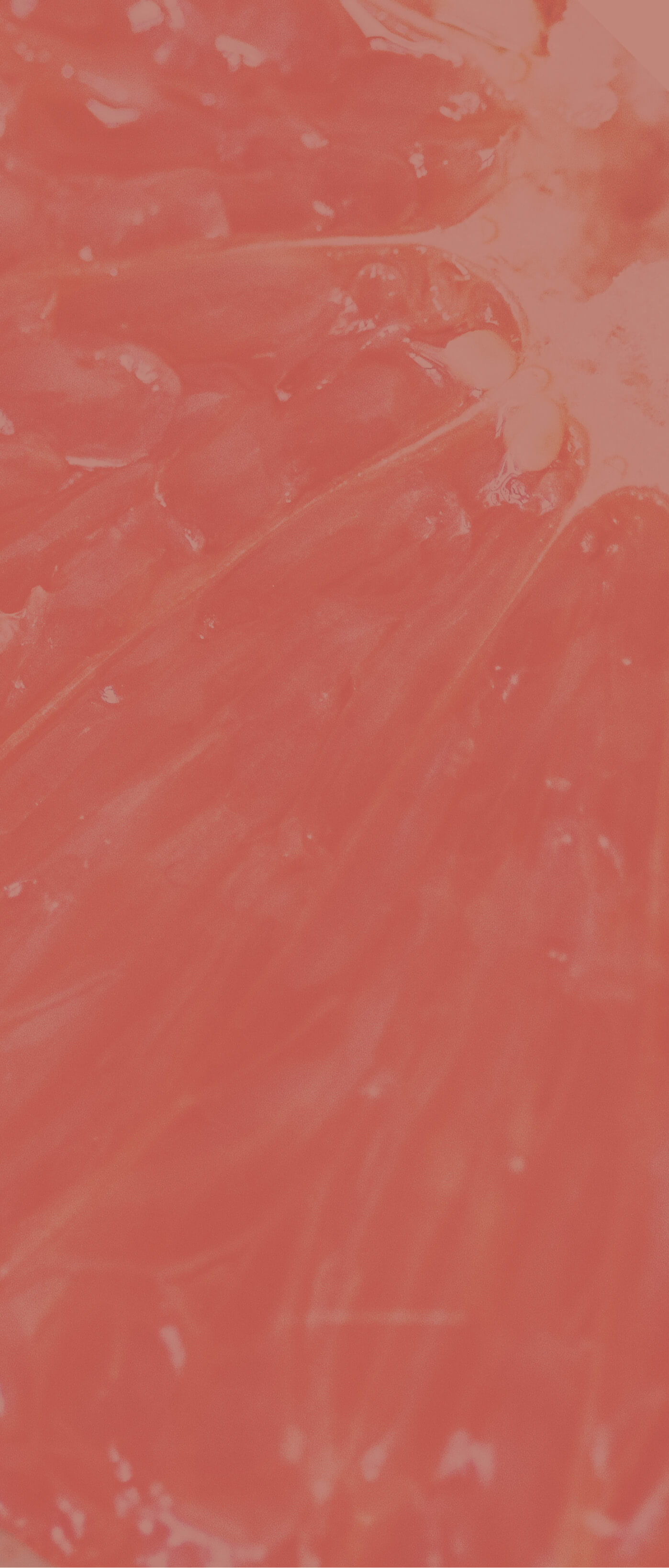 background grapefruit