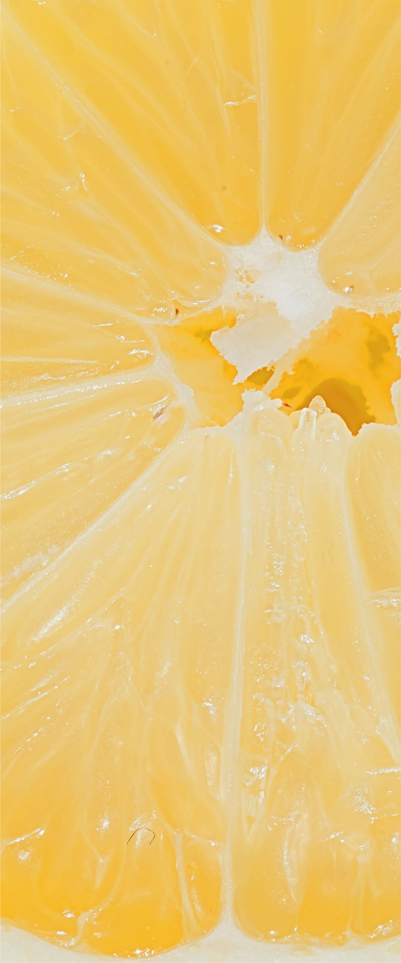 background lemon