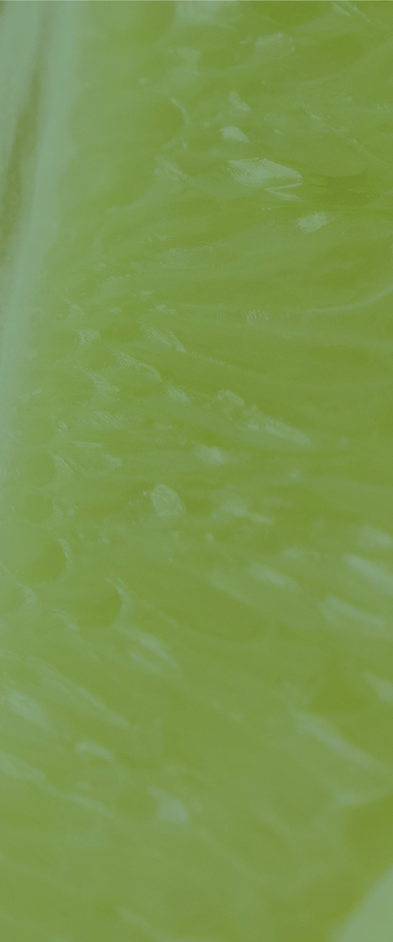 background lime